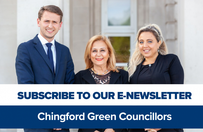 Chingford Green Newsletter